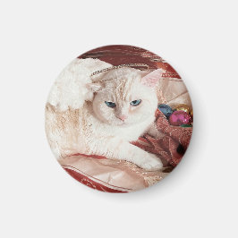 Kitty Angel voor Kerstmis Magneet