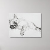 Kitty 'Baby' Canvas Afdruk (Voorkant)