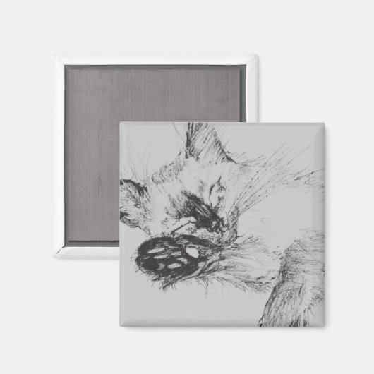 Kitty 'Baby' Magneet (Voorkant / Achterkant)