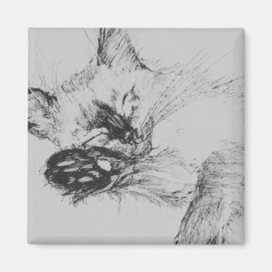 Kitty 'Baby' Magneet