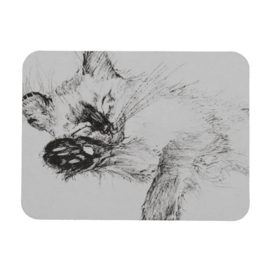 Kitty 'Baby' Magneet (Horizontaal)