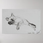 Kitty 'Baby' Poster (Voorkant)