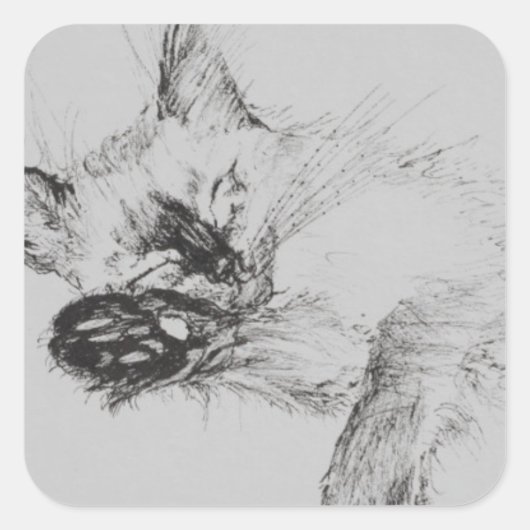 Kitty 'Baby' Vierkante Sticker (Voorkant)