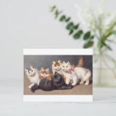 Kitty Briefkaart (Staand voorkant)