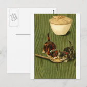 Kitty Briefkaart (Voorkant / Achterkant)