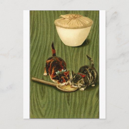 Kitty Briefkaart (Voorkant)