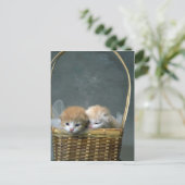 Kitty Briefkaart (Staand voorkant)