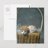 Kitty Briefkaart (Voorkant / Achterkant)