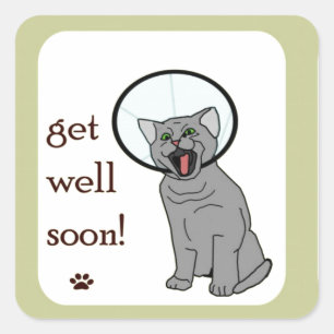 Kitty Cat Binnenkort beter Vierkante Sticker