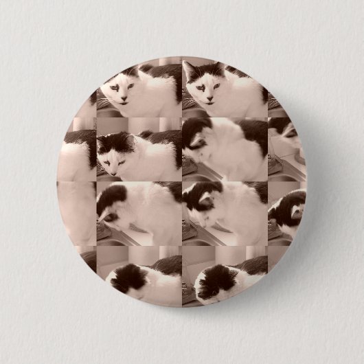 Kitty Cat/Black & White-foto Ronde Button 5,7 Cm (Voorkant)
