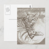 Kitty Cat Briefkaart (Voorkant / Achterkant)