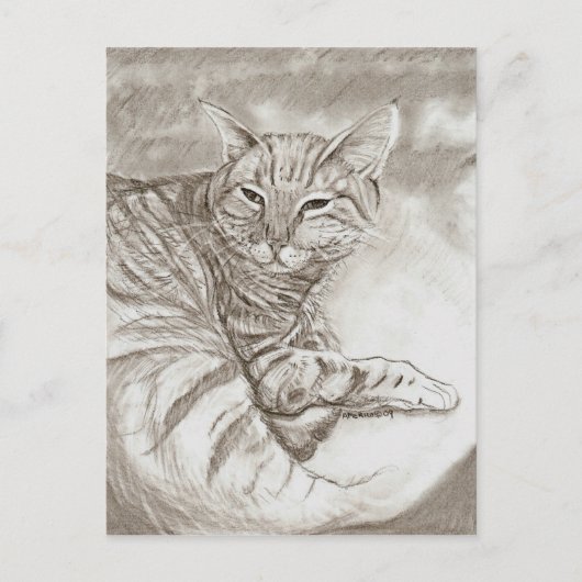 Kitty Cat Briefkaart (Voorkant)