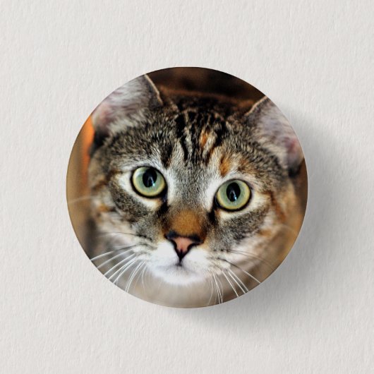 Kitty Cat Button (Voorkant)