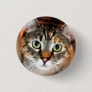  Kitty Cat Button