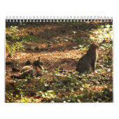 Kitty Cat Calendar Kalender (Hoes)