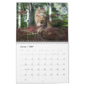 Kitty Cat Calendar Kalender (Jan 2027)