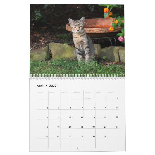 Kitty Cat Calendar Kalender (Apr 2027)