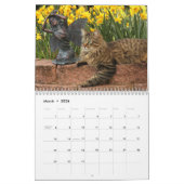Kitty Cat Calendar Kalender (Mar 2026)