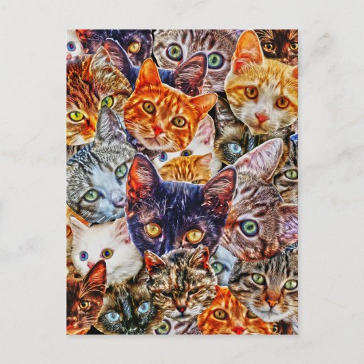 Kitty Cat Collage Briefkaart (Voorkant)