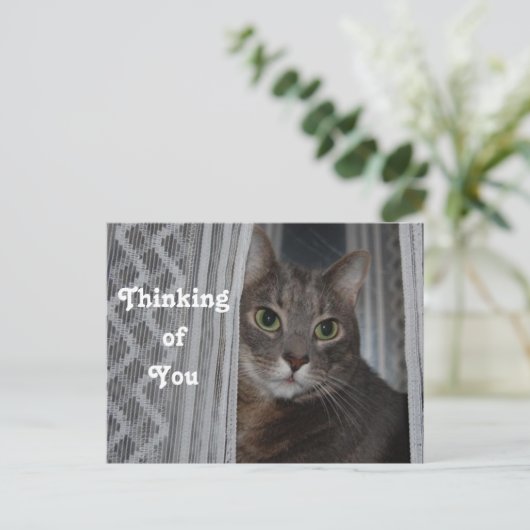 Kitty Cat denkt aan je Briefkaart (Staand voorkant)