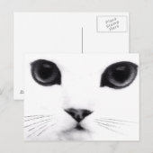 Kitty Cat Features Briefkaart (Voorkant / Achterkant)