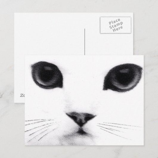 Kitty Cat Features Briefkaart (Voorkant / Achterkant)