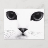 Kitty Cat Features Briefkaart (Voorkant)