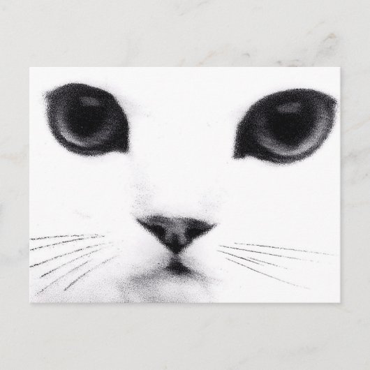 Kitty Cat Features Briefkaart (Voorkant)