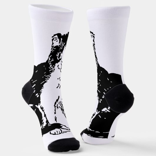 Kitty Cat Fine Art Sokken (Gebogen)
