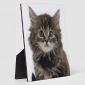 KITTY CAT FOTOPLAAT (Zijkant)