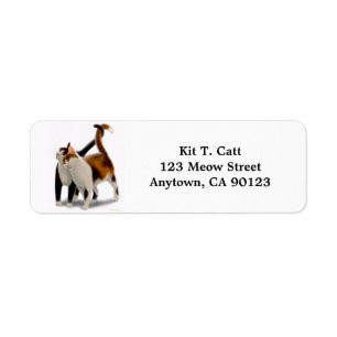 Kitty Cat Friends Etiket