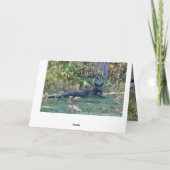 Kitty Cat gefeliciteerd Kaart (Achterkant)