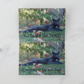 Kitty Cat gefeliciteerd Kaart (Binnen)