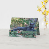 Kitty Cat gefeliciteerd Kaart (Gele Bloem)