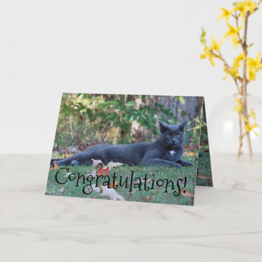 Kitty Cat gefeliciteerd Kaart (Gele Bloem)