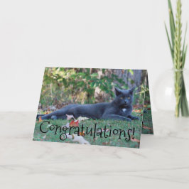 Kitty Cat gefeliciteerd Kaart