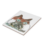 Kitty Cat haalt zijn schildpad uit Tegeltje (Zijkant)