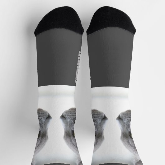 Kitty Cat Humor Sokken (Top)