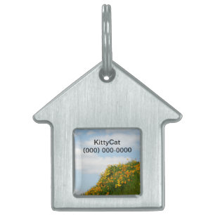 Kitty Cat ID halsbandjes Huisdierlabel Telefoonnum Huisdieren Naamplaatje