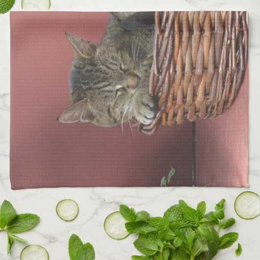 Kitty Cat Kitchen Towel Theedoek (Gevouwen)