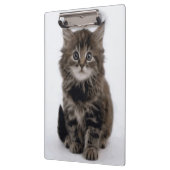 KITTY CAT KLEMBORD (Links)