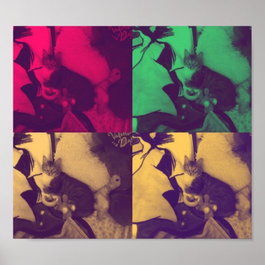Kitty Cat Kleuren mix Poster (Voorkant)