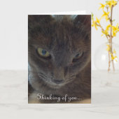 Kitty Cat krijgt goed Wenskaart Kaart (Gele Bloem)