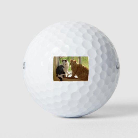 Kitty Cat Love Golfballen (Voorkant)