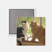 Kitty Cat Love Magneet (Voorkant / Achterkant)