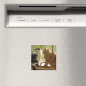 Kitty Cat Love Magneet (Insitu (Vaatwasser))