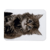 KITTY CAT MAGNEET (Horizontaal)