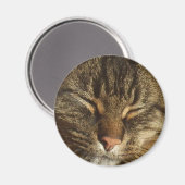 Kitty Cat Magnet (Voorkant / Achterkant)