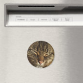 Kitty Cat Magnet (Insitu (Vaatwasser))
