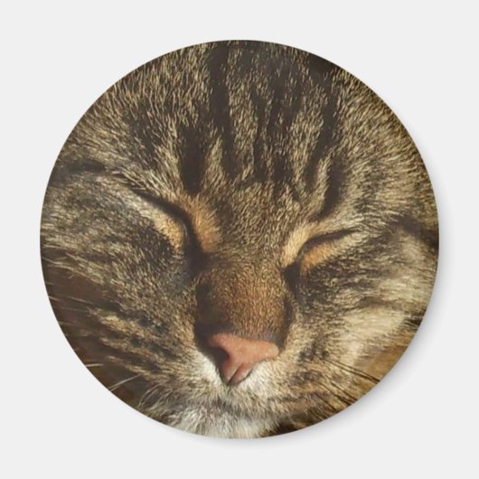 Kitty Cat Magnet (Voorkant)
